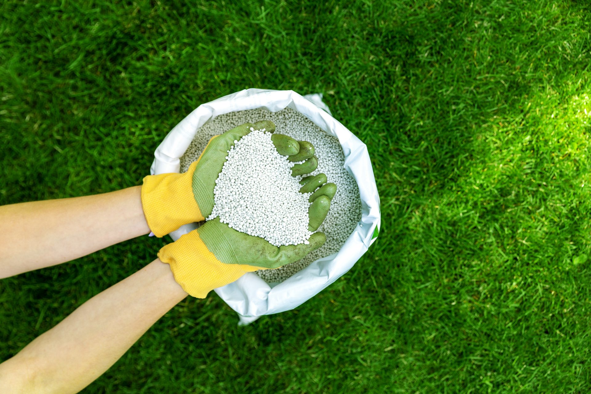 pielęgnacja trawnika | nawożenie trawnika | ekoflor
